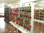 Charging stand NS 40 installed in line side by side